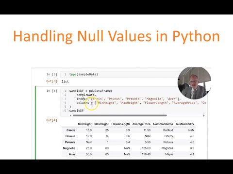 Understanding NaN Handling in Python Programming