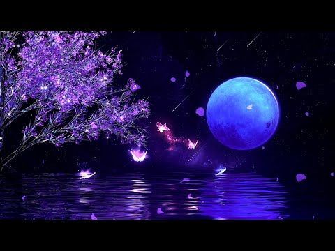 Soothing Music for Relaxation and Stress Relief