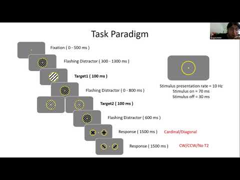 Understanding Attentional Blink: Mechanisms and Effects
