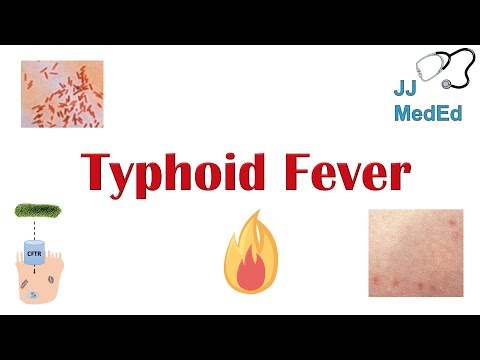The Threat of Typhoid Bacteria: Causes and Prevention