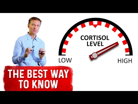 Effects of High Cortisol Levels on Your Health and Well-being