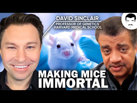 The Biology and Psychology of Aging Disease