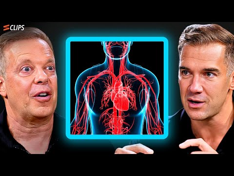 Heart Coherence Meditation: Benefits for Mind and Body