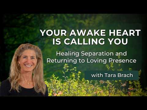 Compassion Empathy: The Heart of Human Connection