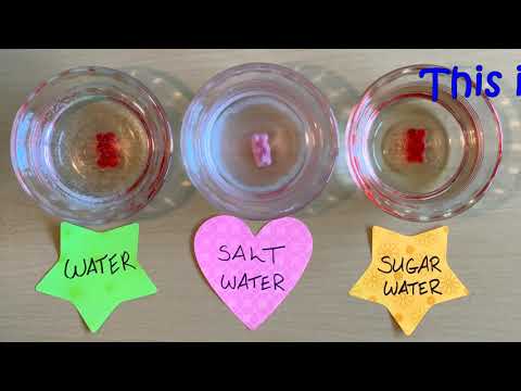 Gummy Bear Experiment: A Sweet Dive into Materials Science