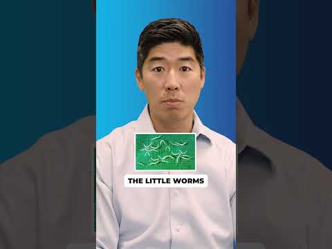 Understanding Anal Irritation: Causes and Relief Options