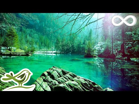 YouTube Relaxation Meditation for Stress Relief and Calmness