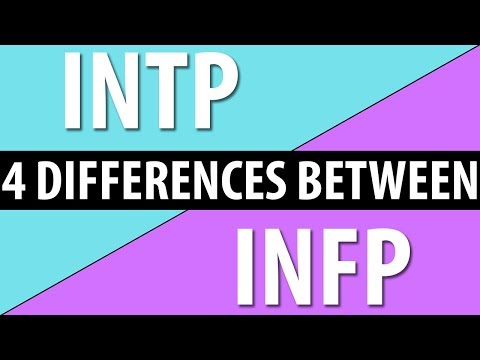 INFP and INTP: Navigating Different Worlds of Thought