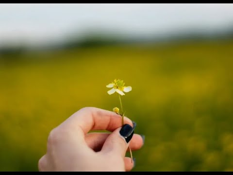 World Schizophrenia Day: Raising Awareness and Understanding