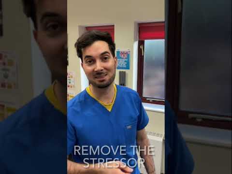 Feeling Tired After Workout: Causes and Recovery Tips