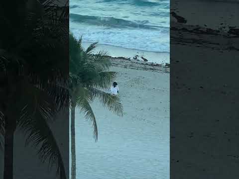 Beach Meditation: Finding Calm by the Waves