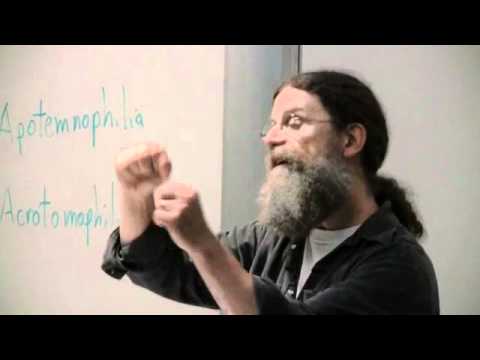 What Are Individual Differences in Psychology?