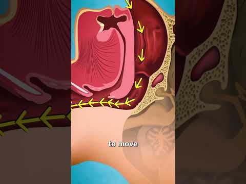 Understanding the Causes and Effects of Snoring Sound