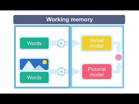 Definition of Working Memory: Key Concepts and Structure