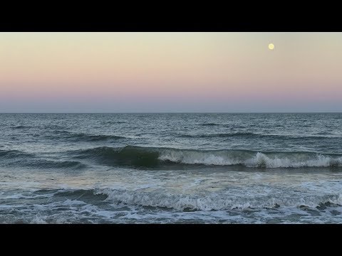 Tara Brach Sleep Meditation for Restful Nights