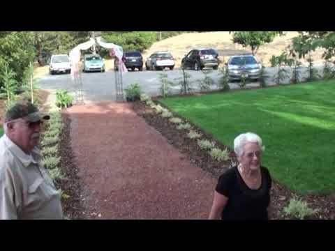 Southern Wellness: Embracing Health and Harmony in the South