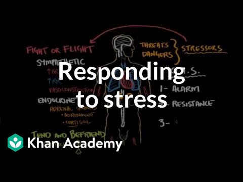 Environmental Stress: Causes, Effects, and Psychological Responses