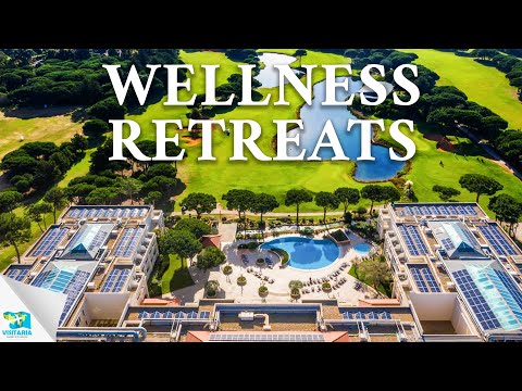 Creacon Lodge: A Retreat for Wellness and Relaxation