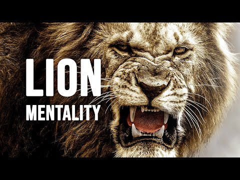 Lion Motivation: Unleashing Your Inner Strength and Drive