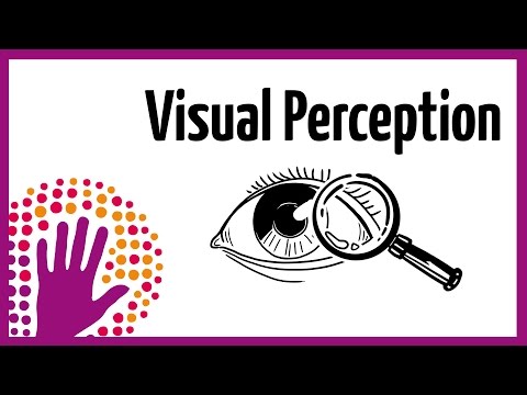 Visual Perception Meaning: Definition and Key Concepts