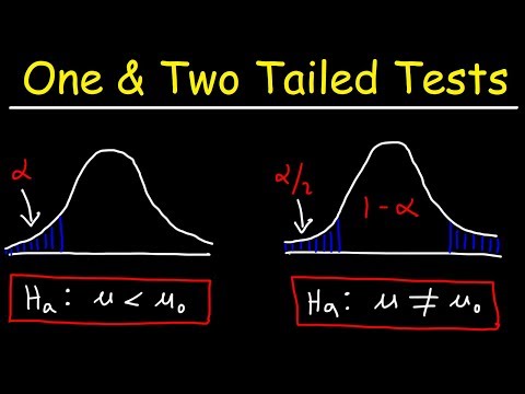 A Detailed Overview of the One-Tailed T Test Process