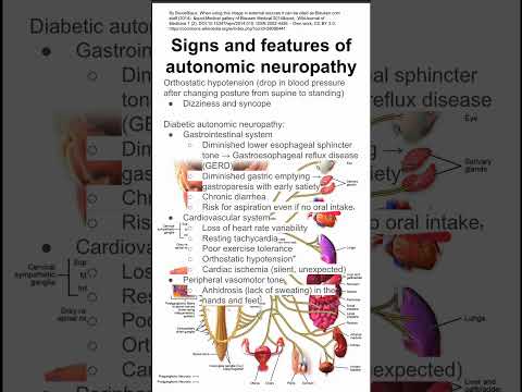 Neurovegetative Symptoms: Key Features and Implications