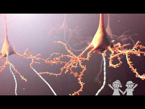 Meaning and Definition of Fits Disease Explained