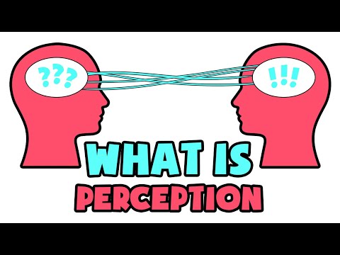 Perception Meaning in Psychology: Definitions and Insights