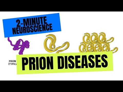 Jakob Disease: Understanding Its Causes and Symptoms