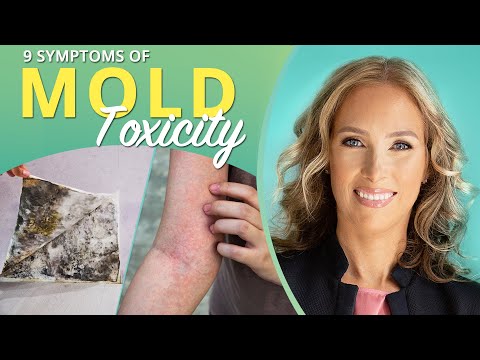 Mold Illness: Symptoms, Causes, and Treatment Options