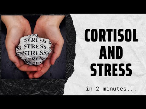 Understanding Stress Hormone Release and Its Effects