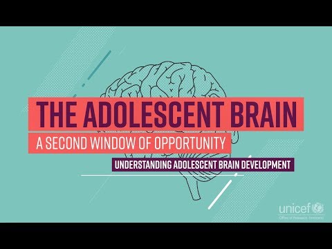 Intellectual Development in Adolescence: Key Stages and Trends