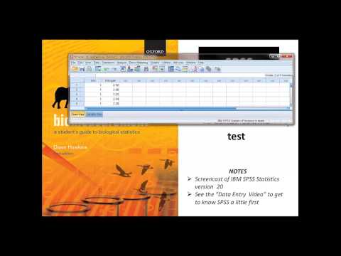 Kruskal Wallis Test in SPSS: A Complete Overview