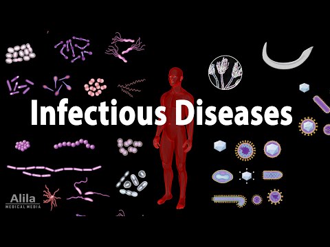 Clinical Infectious Diseases: Diagnosis and Treatment Insights
