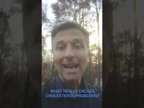 Stress and Cholesterol: The Link You Need to Know