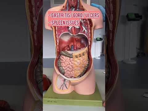 Causes and Solutions for Upper Left Abdominal Pain Under Ribs