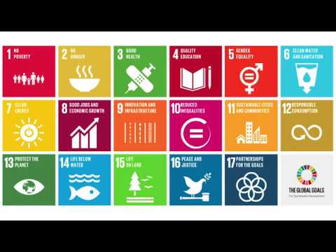UNSDG: A Path to Sustainable Development Goals Achievement