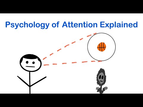 Selective Attention in Psychology: Focus and Perception