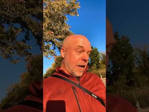 Euraxess PhD Opportunities for Researchers and Academics