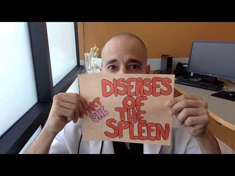 Recognizing Spleen Cancer Symptoms: What to Look For