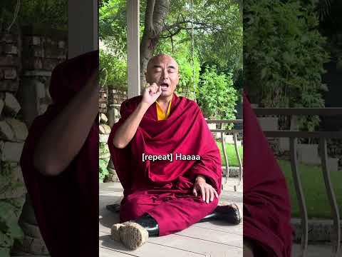 Mastering the Art of Meditation for a Calmer Mind