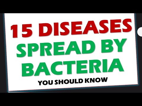 15 Diseases Caused by Bacteria You Should Know About