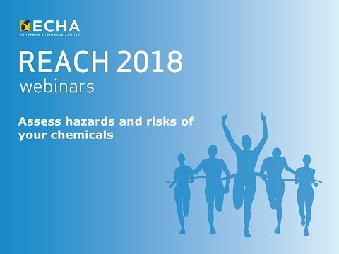 ECHA REACH: Regulatory Compliance for Chemical Safety