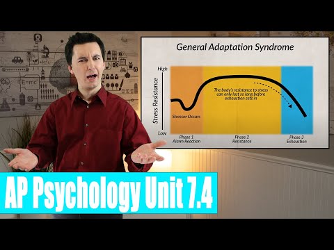 Selye's Stress Theory: Foundations and Implications