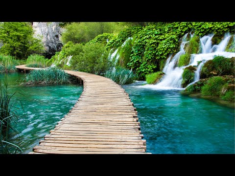 Music for Stress Relief and Anxiety Management