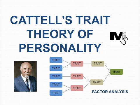 Cattell's 16PF: A Comprehensive Overview of Personality Traits
