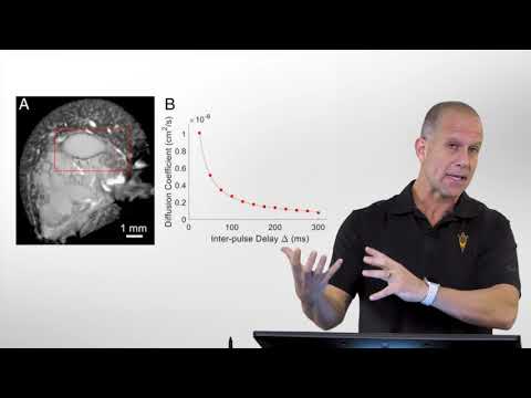 PNAS Journal: A Hub for Cutting-Edge Scientific Research