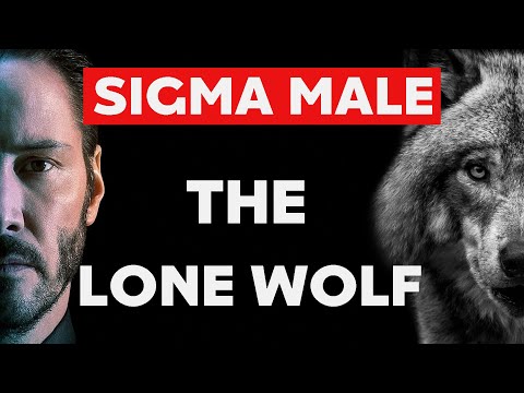 Sigma Personality: Traits and Characteristics Explained