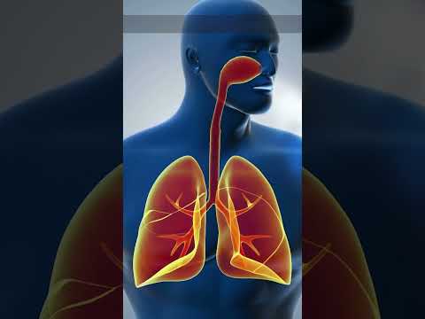 Sore Throat from Stress: Recognizing the Connection