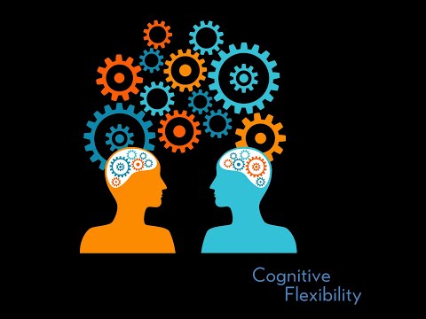 Mind X: Insights into Cognitive Flexibility and Performance